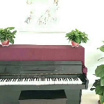 Cyh轲