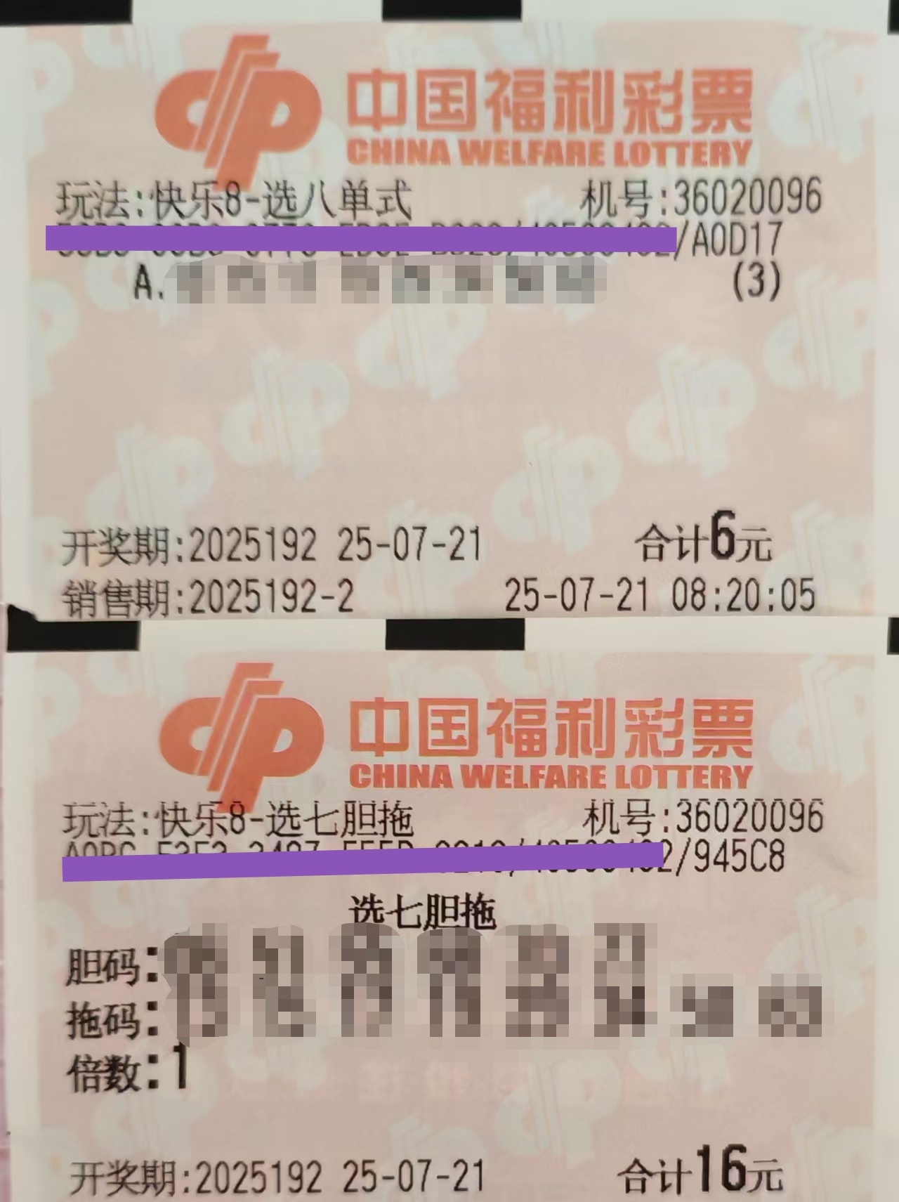 https://f.yddtiyu.com/info/17530804465276056abad-edcf-4b7f-9f6d-6beb893e08db.jpg