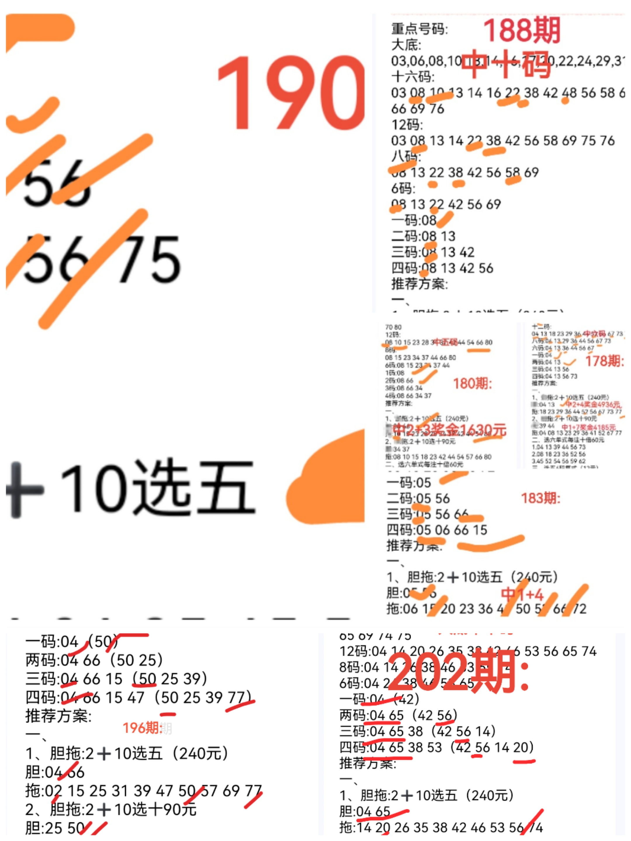 https://f.yddtiyu.com/info/17545253480445dd02a6e-ffc3-4922-9f73-525ecc9e9583.jpg
