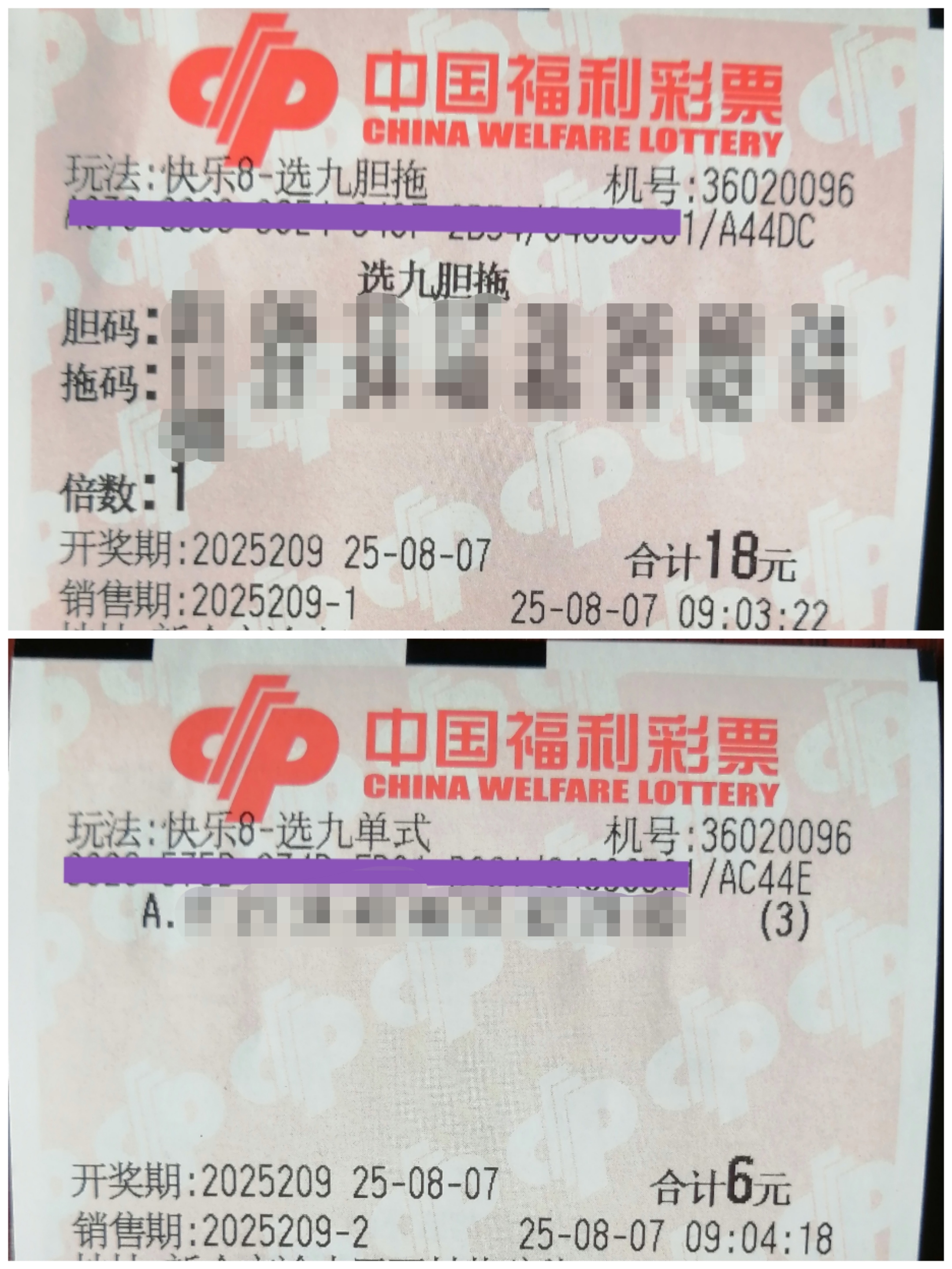 https://f.yddtiyu.com/info/1754541537309ad99ce15-5d0e-467f-94f1-72d1fe6427be.jpg