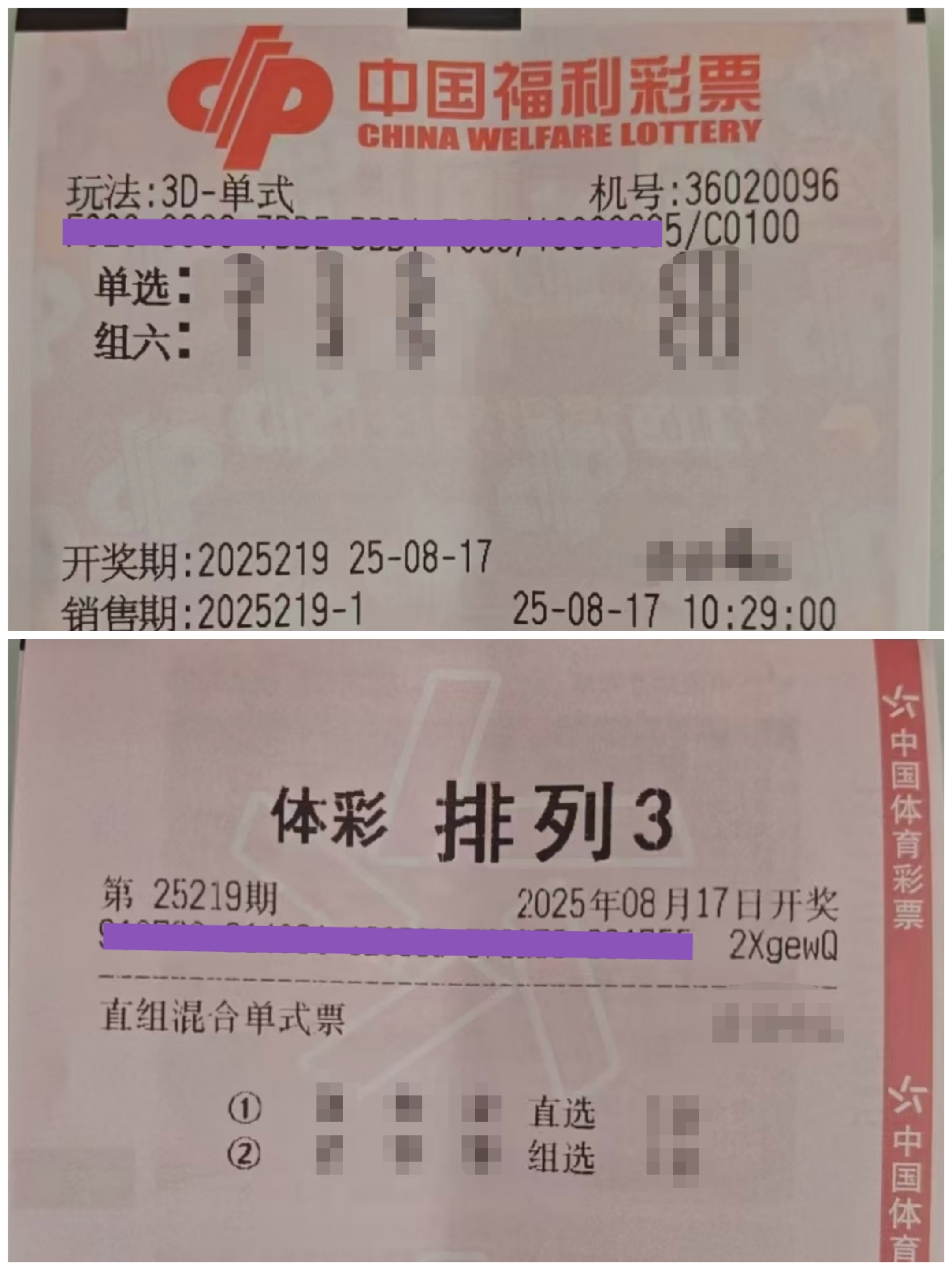 https://f.yddtiyu.com/info/1755404095708a6c2e716-25ba-4585-bff6-4fe54d75bbf5.jpg