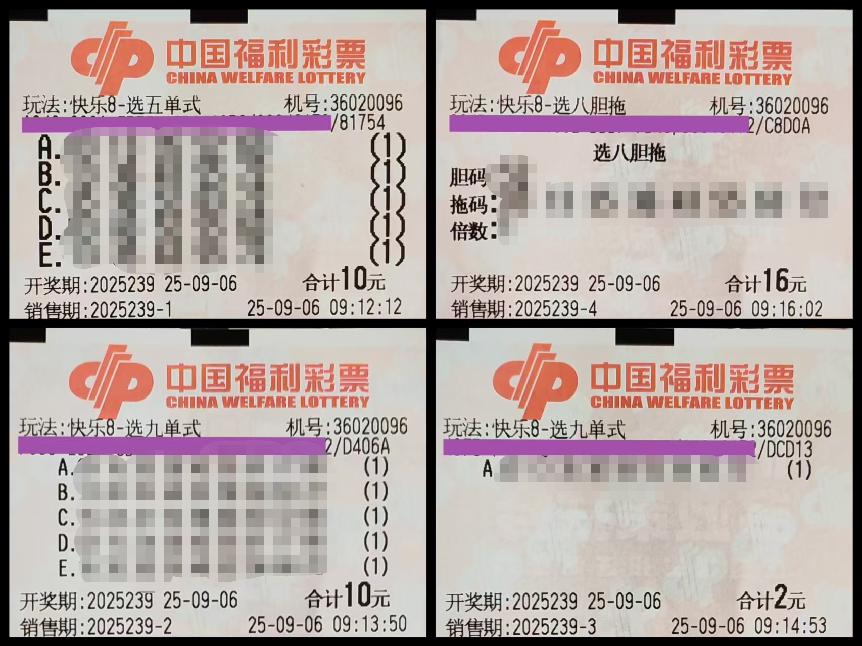 https://f.yddtiyu.com/info/1757124309375af1e1d9e-2159-4675-bf94-50cd79bfaa61.jpg