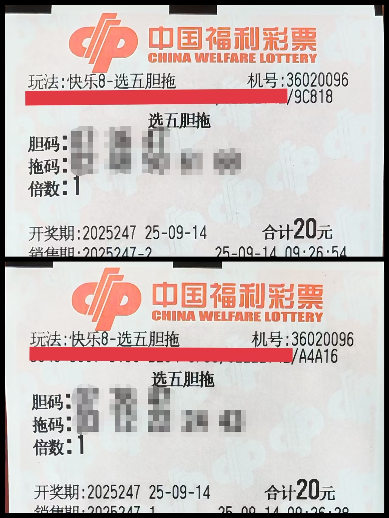 https://f.yddtiyu.com/info/17578249390914781185c-b6e7-4b0a-9638-929fc08c791e.jpg