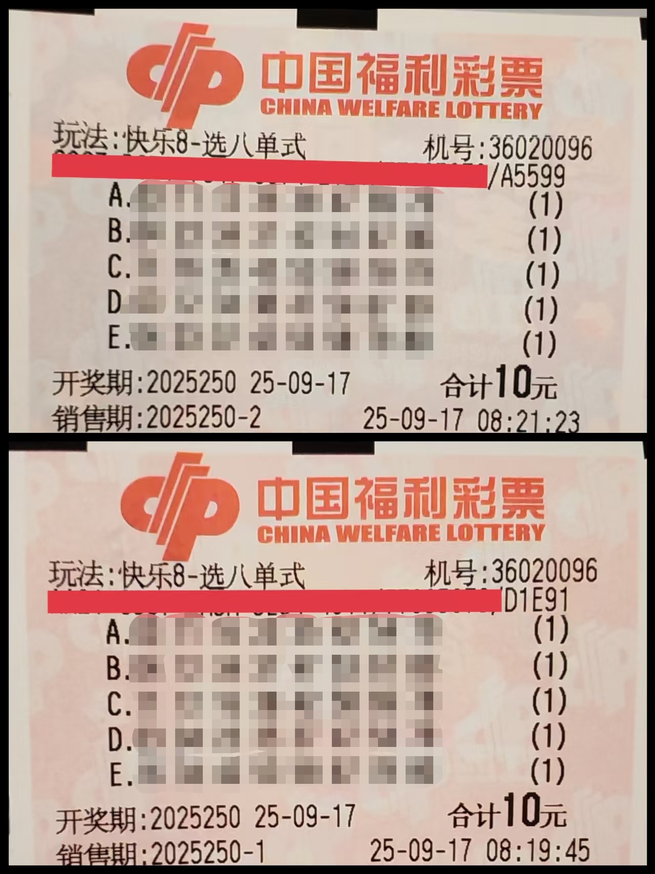 https://f.yddtiyu.com/info/1758077480695d76ed115-c46a-4845-b2aa-c08db068fea7.jpg