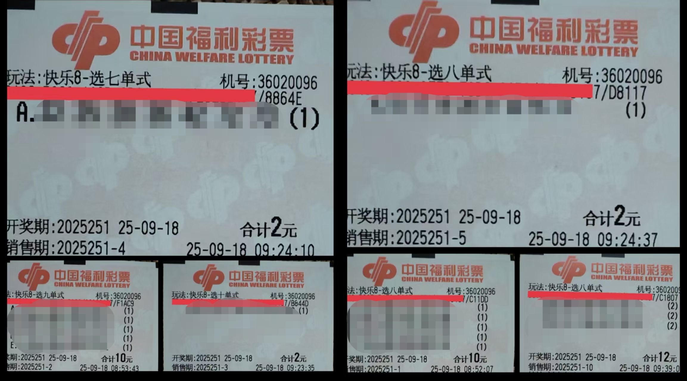 https://f.yddtiyu.com/info/1758167959970d551fa47-63d6-48b0-b887-2b2525547f2d.jpg