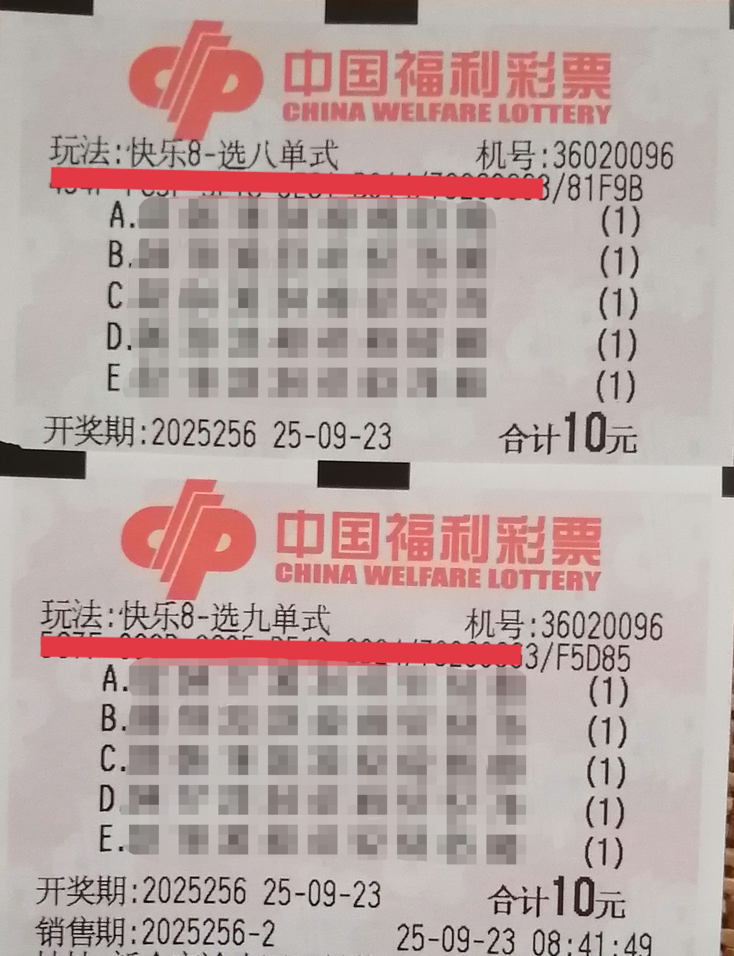 https://f.yddtiyu.com/info/17585998413662d656ad6-17ba-4b12-90a6-ed98e6029c29.jpg