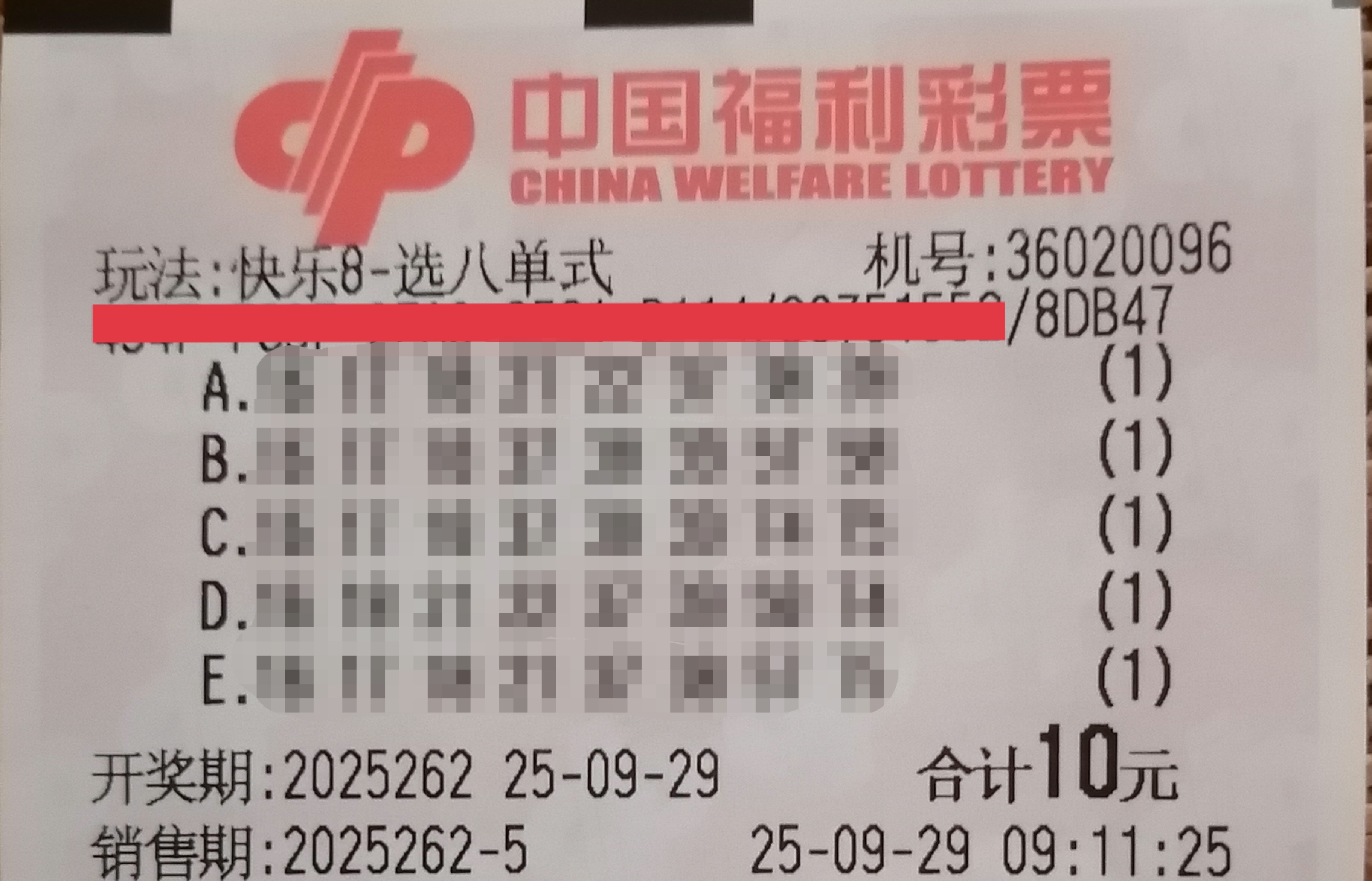 https://f.yddtiyu.com/info/1759116433163fc5bd323-33c5-48bc-96c6-93d37a47cd7b.jpg
