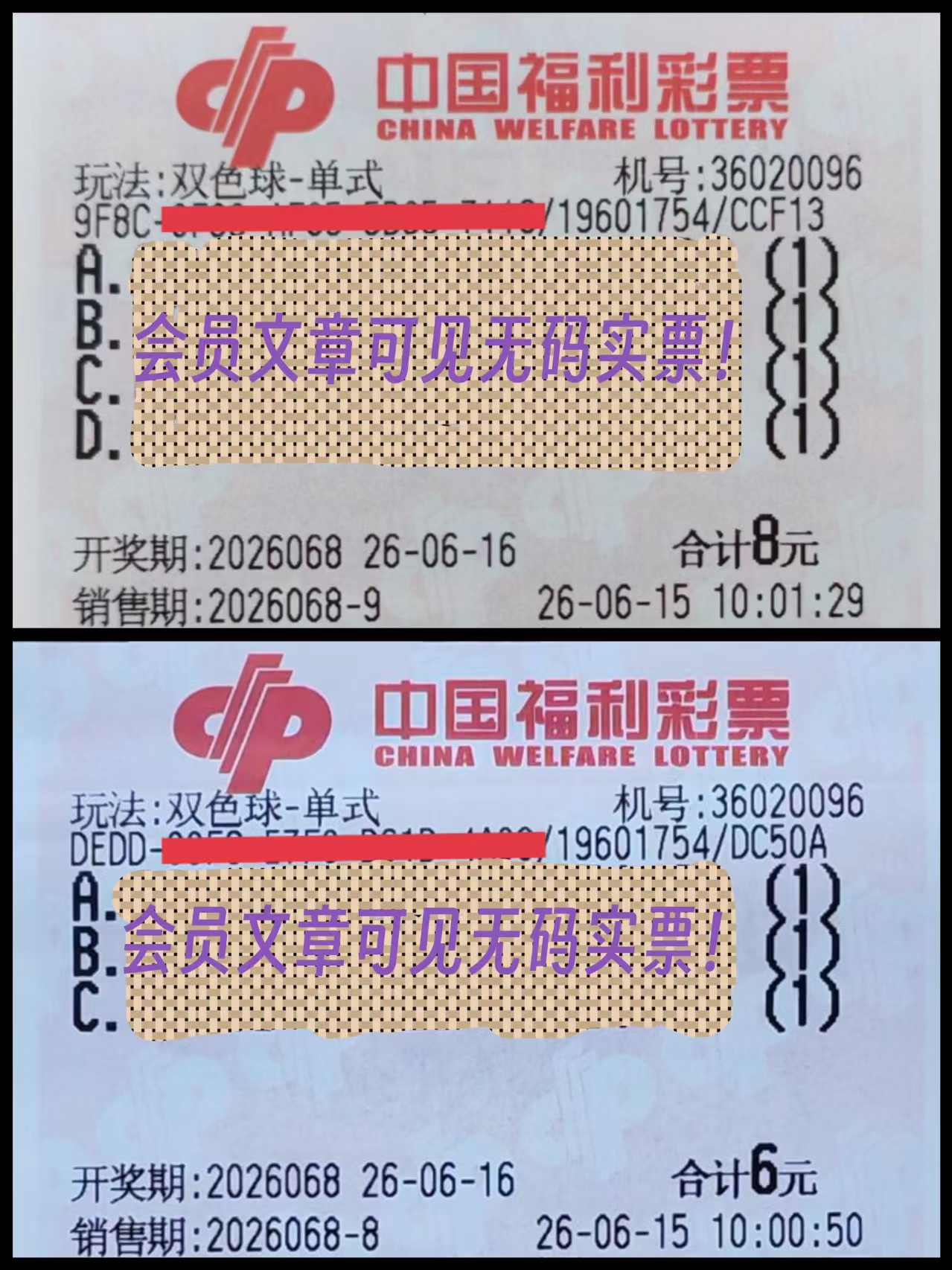 https://f.yddtiyu.com/info/1781583326945f08a3d95-ef33-4db2-a6c1-9baedab4a0b1.jpg