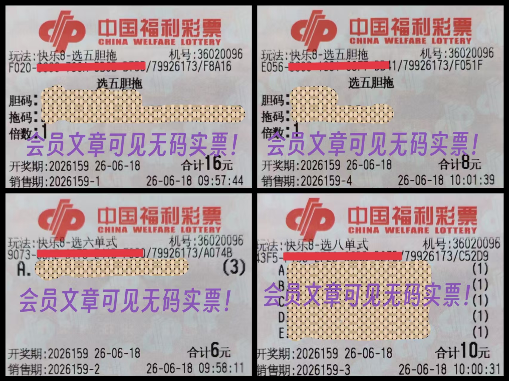 https://f.yddtiyu.com/info/17817592527696ad0a100-73c1-4070-b3fb-4c29e02a31ca.jpg