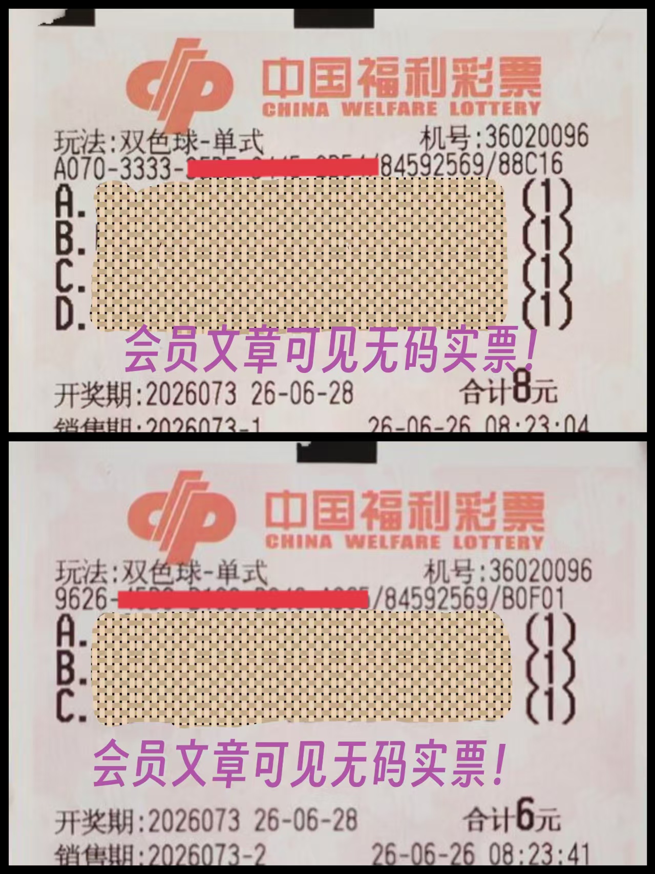https://f.yddtiyu.com/info/17824380248406a76ed90-3b96-4987-8db8-2a9b6cb327d5.jpg